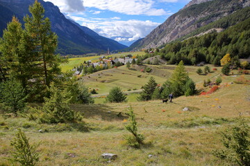 Fototapeta na wymiar Green scenery with Ceillac village and the valley in the background, Ceillac, Queyras Regional Natural Park, Southern Alps, France