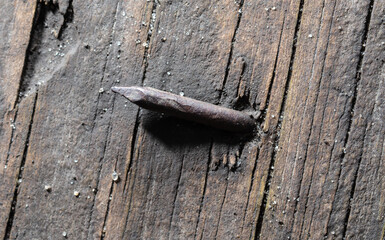 An old rusty nail driven into a wooden board.