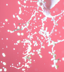 Splashes of white milk on a pink background.