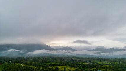 The Mountain Forest on Background of cloudy