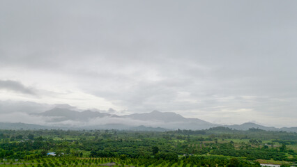 The Mountain Forest on Background of cloudy
