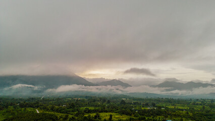 The Mountain Forest on Background of cloudy