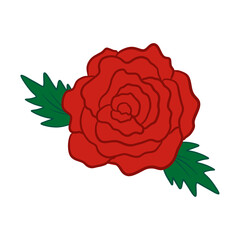 Red Rose Decoration