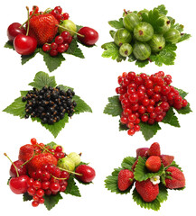 set of berries