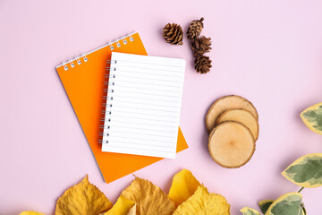 Composition with notebooks, cones and autumn leaves on pink background