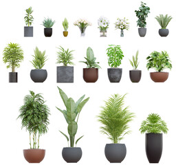 3d illustration of a collection of plants in pots, perfect for digital composition and architecture visualization