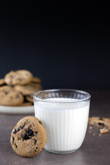 A glass of milk and freshly baked chocolate chip cookies on a dark background. Copy space. National cookie day poster.