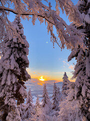 Beautiful branch-framed view of setting winter sun over a snow-covered valley