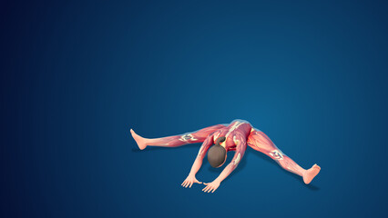 Naklejka premium 3D human Upavistha Konasana Or Seated Wide-Angle yoga pose on blue background
