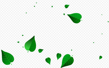Forest Leaves Fly Vector Transparent Background