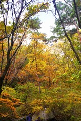 도봉산 단풍 autumn in the mountains 