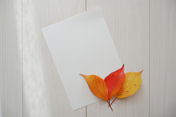 Autumn greeting concept background. Colorful autumn leaves and blank letter paper on white wooden background. Thanks giving, Halloween and Autumn event decorative elements.