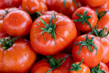 Tomatoes folded into one solid mass