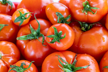 Tomatoes folded into one solid mass