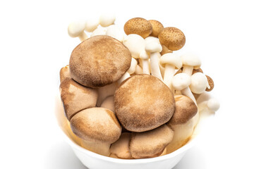Various type of mushroom set in white cup. Image selective focus.