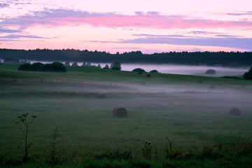 morning mist over meadow