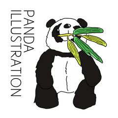 panda eating bamboo isolated vector illustration