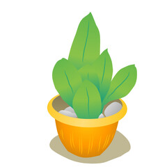 green plant in a pot