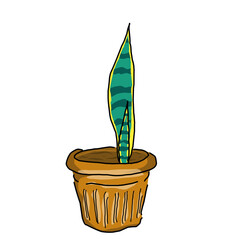 plant in a pot hand drawn illustration