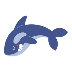 Cute killer whale character, orca whale swimming and smiling, adorable whale mammal. flat vector illustration isolated on white background