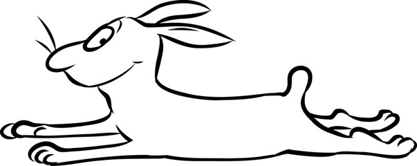 Niedlicher kleiner Hase liegt entspannt ausgestreckt da