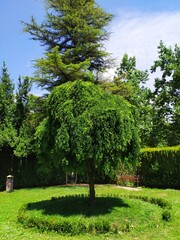 Parque de la Taconera de Pamplona con día soleado_06