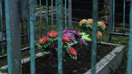 Flowers on a grave at cemetery