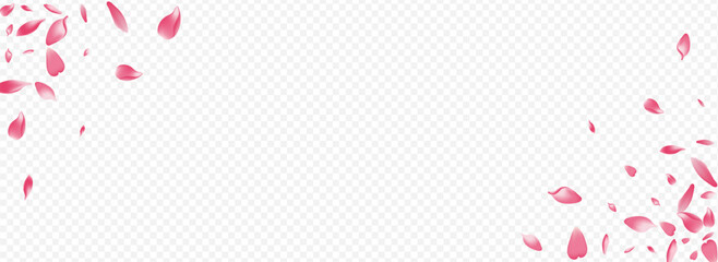 White Flower Vector Panoramic Transparent