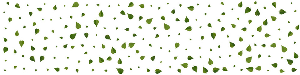 Mint Greens Falling Vector Panoramic White