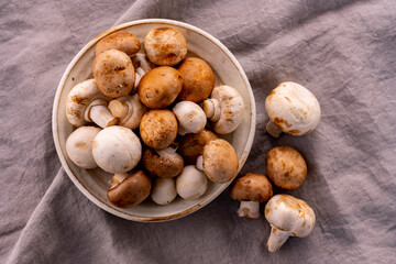 Champignon mushroom on the table.
Fresh Champignon mushroom image.
