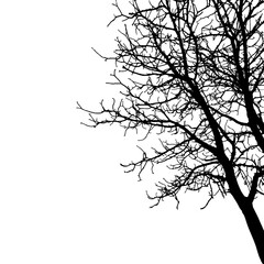 Silhouette of bare branches tree. Vector illustration