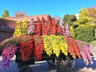 cart with flowers