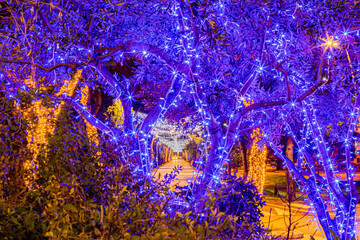 Ambiance de f&ecirc;te urbaine