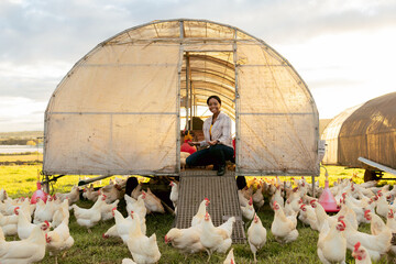 Chicken farming, woman and organic coop on at farm, field or outdoor for meat, food and free range....