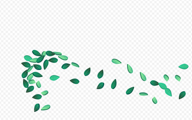 Forest Foliage Tree Vector Transparent Background