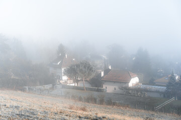 Fototapeta na wymiar brouillard, Chambésy,mystique