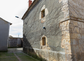 Fototapeta premium old stone building with vine on wall