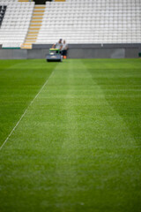 Green grass soccer field