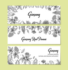Set of ginseng horizontal design. Hand drawn botanical vector illustration in sketch style. Can be used for packaging, label, badge. Herbal medicine background