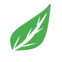 green leaf icon, single leaf icon, leaf logo