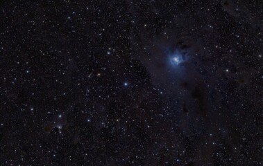 The Iris and Ghost Nebulae