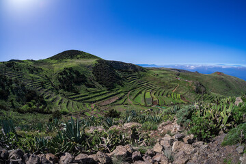 Natural landscape on the Teno Alto plateau. Tenerife. Canary Islands. Spain.