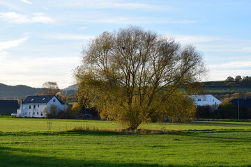 herbstliche Eifel