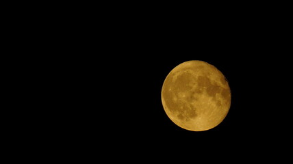 Mond