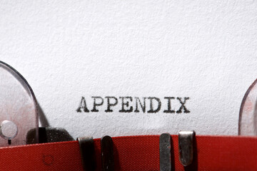 Appendix concept view