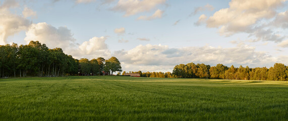 Field and dress during sunset