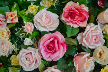 Roses are beautiful flowers that come in many colors.