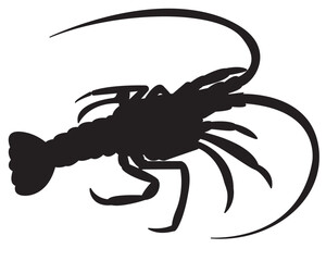 Realistic lobster. Seafood shop logo, signboard, restaurant menu, fish market, banner, poster design template. fresh seafood. vector illustration.