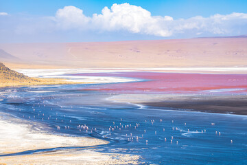 panoramic view of reserva natural eduardo abaroa parkland in bolivia - obrazy, fototapety, plakaty