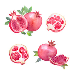 Pomegranate, red fruit, dessert, watercolor illustrations of food